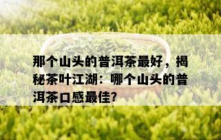 那个山头的普洱茶更好，揭秘茶叶江湖：哪个山头的普洱茶口感更佳？