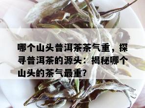 哪个山头普洱茶茶气重，探寻普洱茶的源头：揭秘哪个山头的茶气最重？