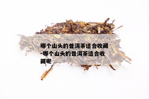 哪个山头的普洱茶适合收藏-哪个山头的普洱茶适合收藏呢