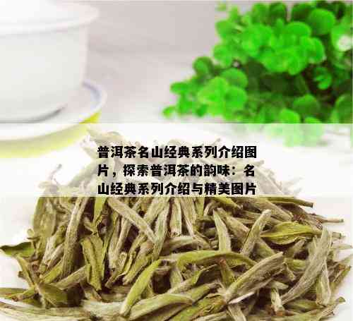 普洱茶名山经典系列介绍图片，探索普洱茶的韵味：名山经典系列介绍与精美图片