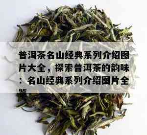 普洱茶名山经典系列介绍图片大全，探索普洱茶的韵味：名山经典系列介绍图片全览