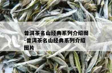 普洱茶名山经典系列介绍图-普洱茶名山经典系列介绍图片