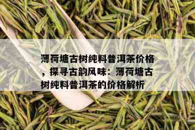 薄荷塘古树纯料普洱茶价格，探寻古韵风味：薄荷塘古树纯料普洱茶的价格解析