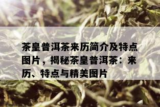 茶皇普洱茶来历简介及特点图片，揭秘茶皇普洱茶：来历、特点与精美图片