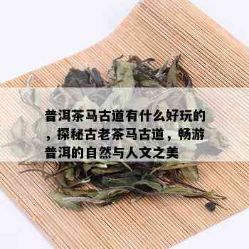 普洱茶马古道有什么好玩的，探秘古老茶马古道，畅游普洱的自然与人文之美