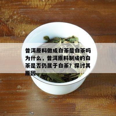 普洱原料做成白茶是白茶吗为什么，普洱原料制成的白茶是否仍属于白茶？探讨其原因
