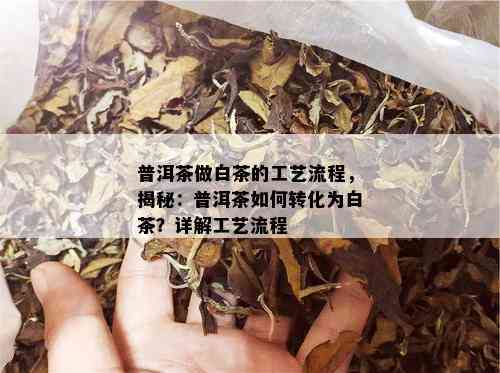 普洱茶做白茶的工艺流程，揭秘：普洱茶如何转化为白茶？详解工艺流程