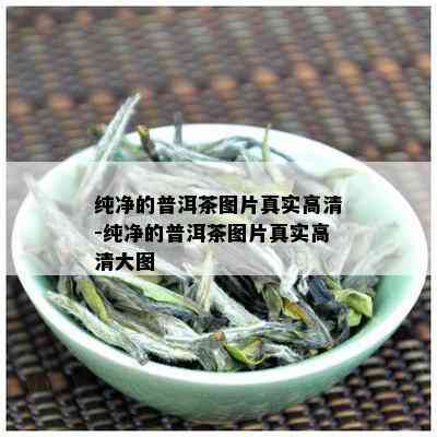 纯净的普洱茶图片真实高清-纯净的普洱茶图片真实高清大图