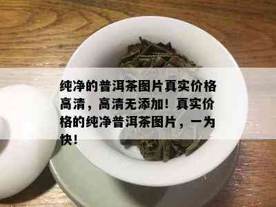 纯净的普洱茶图片真实价格高清，高清无添加！真实价格的纯净普洱茶图片，一为快！