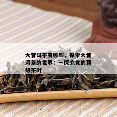 大普洱茶有哪些，探索大普洱茶的世界：一探究竟的顶级茶叶