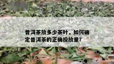 普洱茶放多少茶叶，如何确定普洱茶的正确投放量？