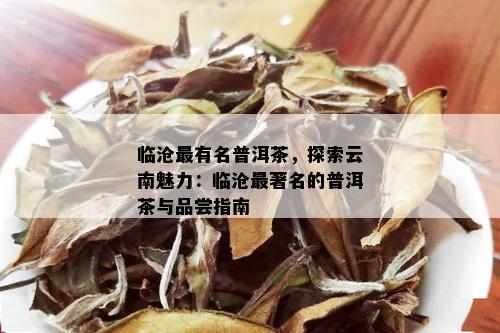 临沧最有名普洱茶，探索云南魅力：临沧最著名的普洱茶与品尝指南