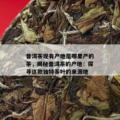 普洱茶现有产地是哪里产的茶，揭秘普洱茶的产地：探寻这款独特茶叶的来源地