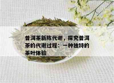 普洱茶新陈代谢，探究普洱茶的代谢过程：一种独特的茶叶体验