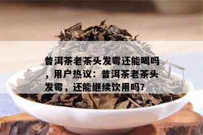 普洱茶老茶头发霉还能喝吗，用户热议：普洱茶老茶头发霉，还能继续饮用吗？