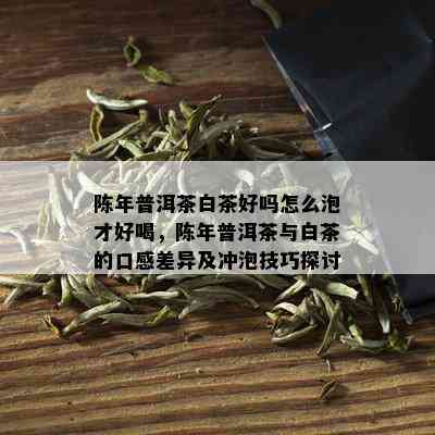 陈年普洱茶白茶好吗怎么泡才好喝，陈年普洱茶与白茶的口感差异及冲泡技巧探讨