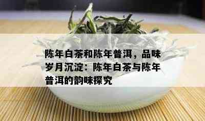 陈年白茶和陈年普洱，品味岁月沉淀：陈年白茶与陈年普洱的韵味探究