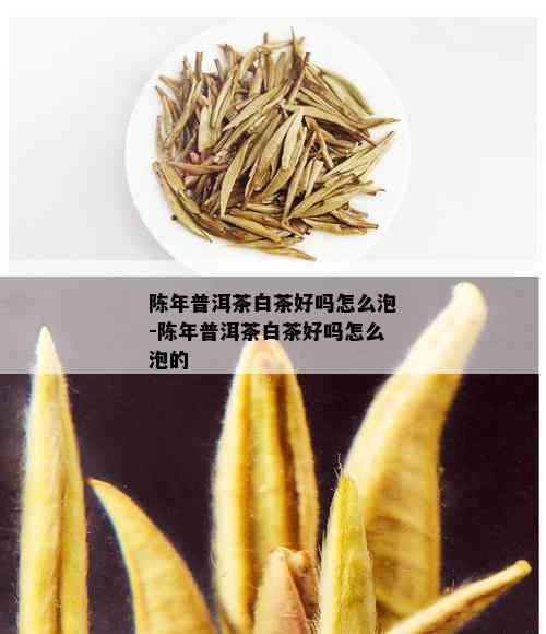 陈年普洱茶白茶好吗怎么泡-陈年普洱茶白茶好吗怎么泡的