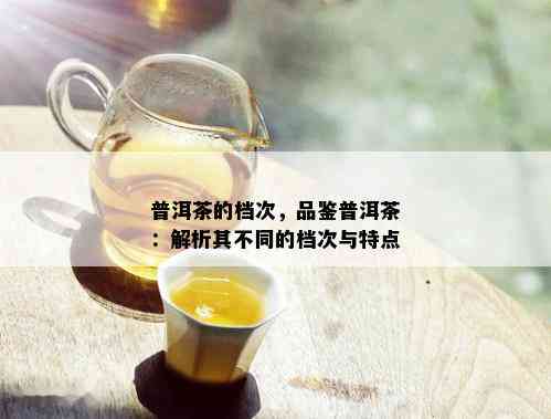 普洱茶的档次，品鉴普洱茶：解析其不同的档次与特点