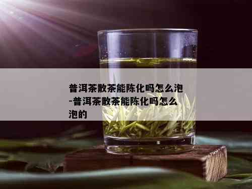 普洱茶散茶能陈化吗怎么泡-普洱茶散茶能陈化吗怎么泡的