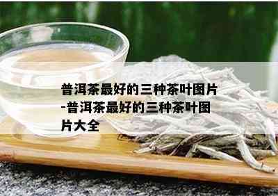 普洱茶更好的三种茶叶图片-普洱茶更好的三种茶叶图片大全