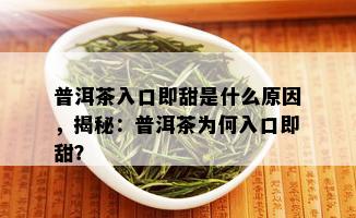 普洱茶入口即甜是什么原因，揭秘：普洱茶为何入口即甜？