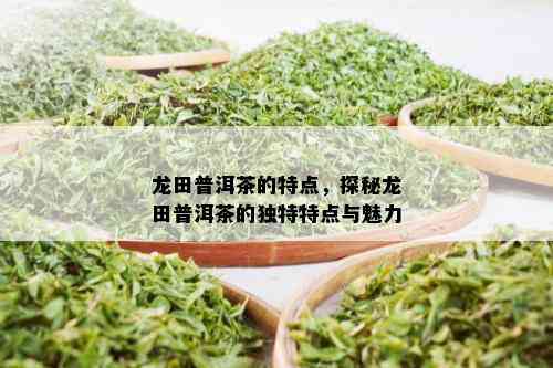 龙田普洱茶的特点，探秘龙田普洱茶的独特特点与魅力