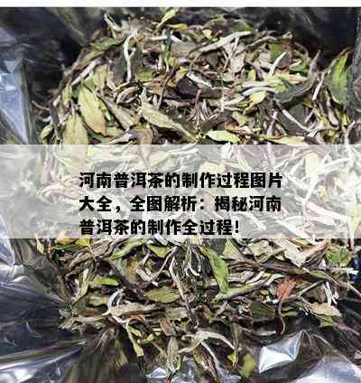 河南普洱茶的制作过程图片大全，全图解析：揭秘河南普洱茶的制作全过程！