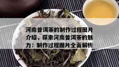 河南普洱茶的制作过程图片介绍，探索河南普洱茶的魅力：制作过程图片全面解析