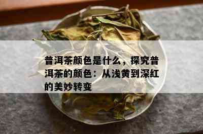 普洱茶颜色是什么，探究普洱茶的颜色：从浅黄到深红的美妙转变