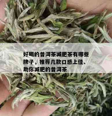 好喝的普洱茶减肥茶有哪些牌子，推荐几款口感上佳、助你减肥的普洱茶