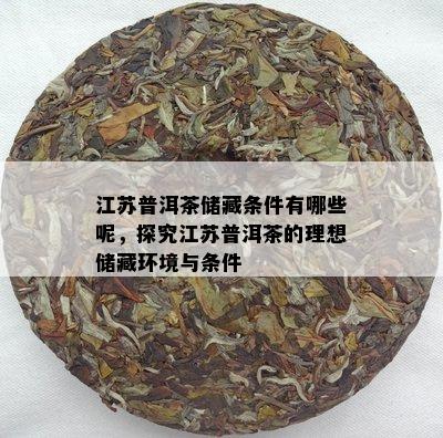江苏普洱茶储藏条件有哪些呢，探究江苏普洱茶的理想储藏环境与条件