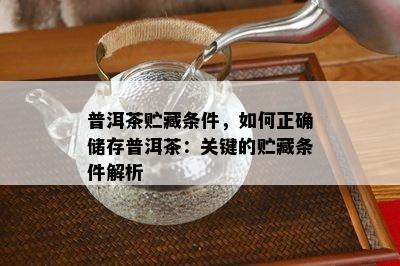 普洱茶贮藏条件，如何正确储存普洱茶：关键的贮藏条件解析