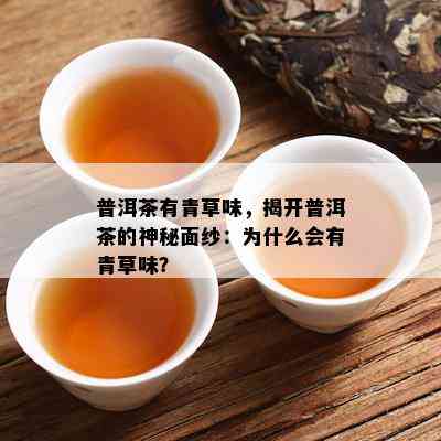 普洱茶有青草味，揭开普洱茶的神秘面纱：为什么会有青草味？