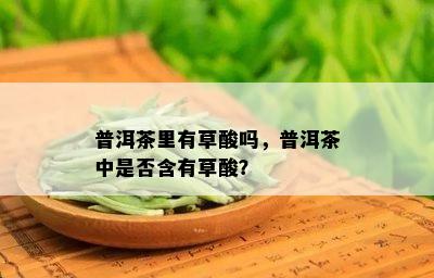 普洱茶里有草酸吗，普洱茶中是否含有草酸？