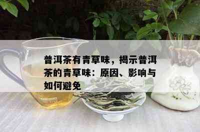 普洱茶有青草味，揭示普洱茶的青草味：原因、影响与如何避免