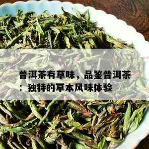 普洱茶有草味，品鉴普洱茶：独特的草本风味体验