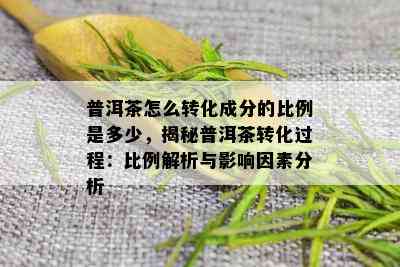 普洱茶怎么转化成分的比例是多少，揭秘普洱茶转化过程：比例解析与影响因素分析