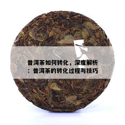 普洱茶如何转化，深度解析：普洱茶的转化过程与技巧