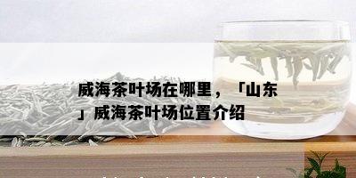 威海茶叶场在哪里，「山东」威海茶叶场位置介绍