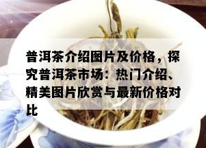 普洱茶介绍图片及价格，探究普洱茶市场：热门介绍、精美图片欣赏与最新价格对比