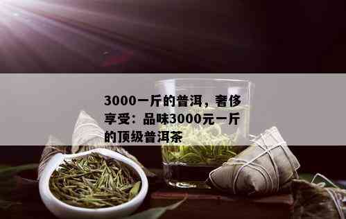 3000一斤的普洱，奢侈享受：品味3000元一斤的顶级普洱茶