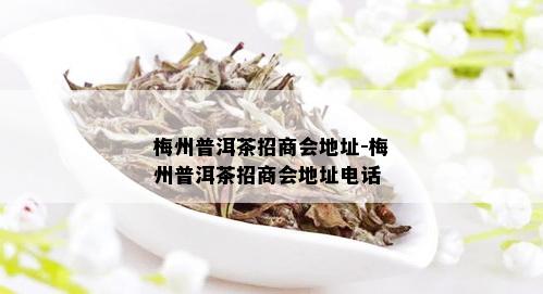 梅州普洱茶招商会地址-梅州普洱茶招商会地址电话