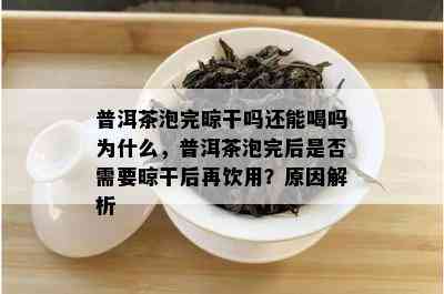 普洱茶泡完晾干吗还能喝吗为什么，普洱茶泡完后是否需要晾干后再饮用？原因解析