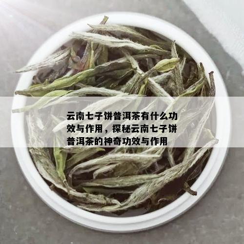 云南七子饼普洱茶有什么功效与作用，探秘云南七子饼普洱茶的神奇功效与作用