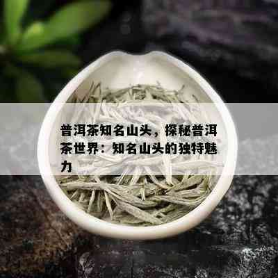 普洱茶知名山头，探秘普洱茶世界：知名山头的独特魅力