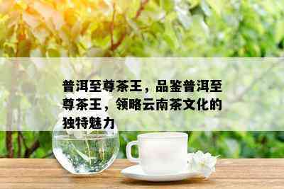 普洱至尊茶王，品鉴普洱至尊茶王，领略云南茶文化的独特魅力