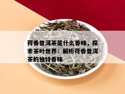 荷香普洱茶是什么香味，探索茶叶世界：解析荷香普洱茶的独特香味