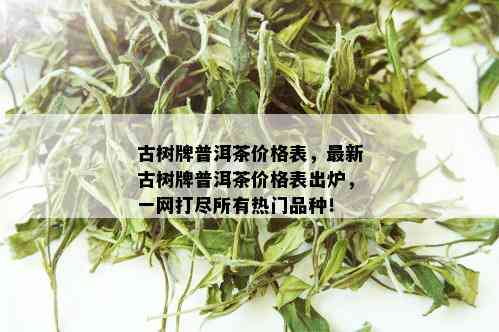 古树牌普洱茶价格表，最新古树牌普洱茶价格表出炉，一网打尽所有热门品种！