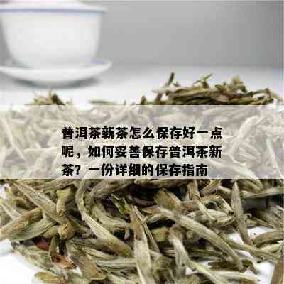 普洱茶新茶怎么保存好一点呢，如何妥善保存普洱茶新茶？一份详细的保存指南